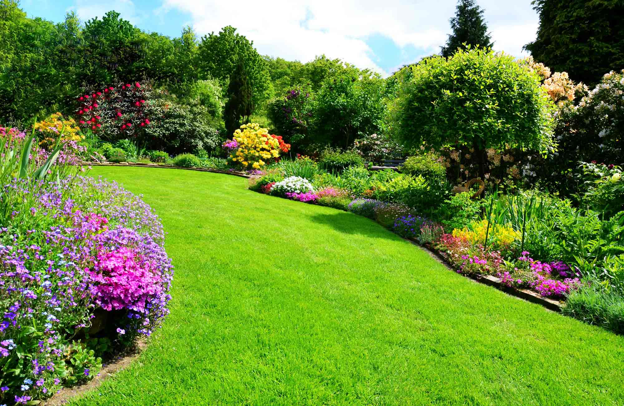 Neu gestalteter Garten mit Beeten und Rasenfläche