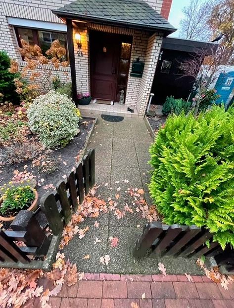 Grundstück vor dem Zaunbau